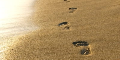 Trusting God's Sovereignty One Step at a Time