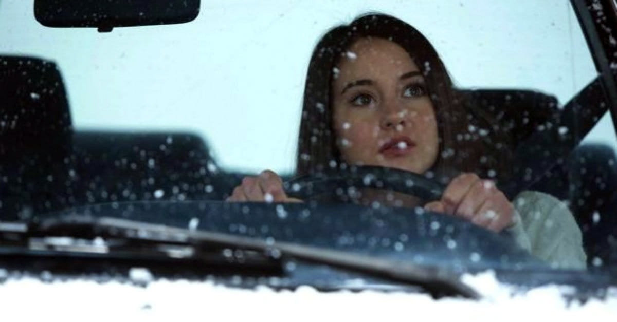 Don't Get Caught Out in Numbing <i>White Bird in a Blizzard</i>