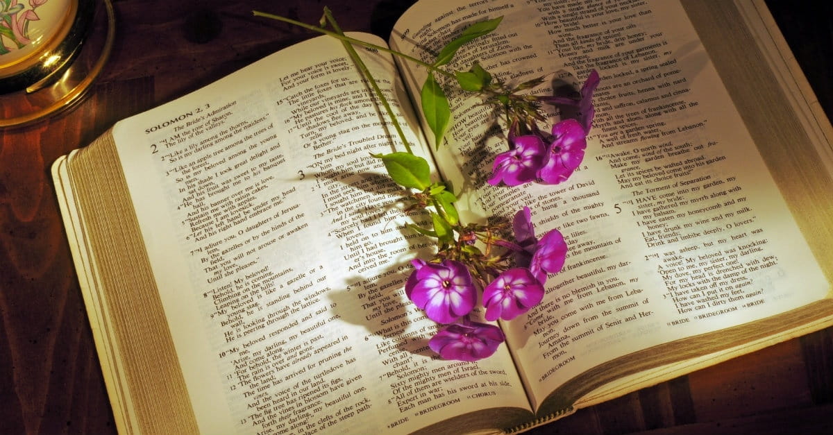 Sex: God's Got an Opinion