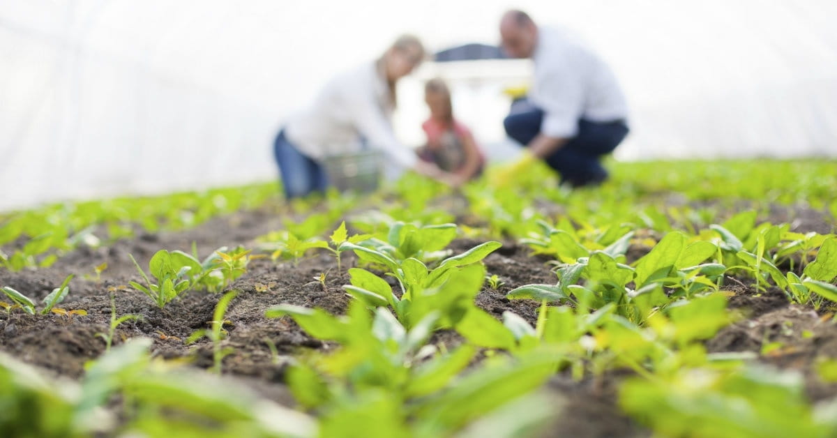 How to Use Your Vocation for the Common Good
