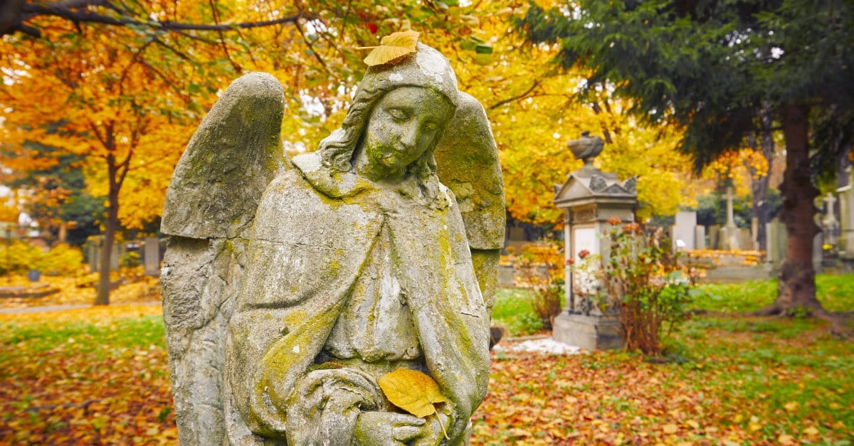 17 Things The Bible Tells Us About Angels And Their Ministry