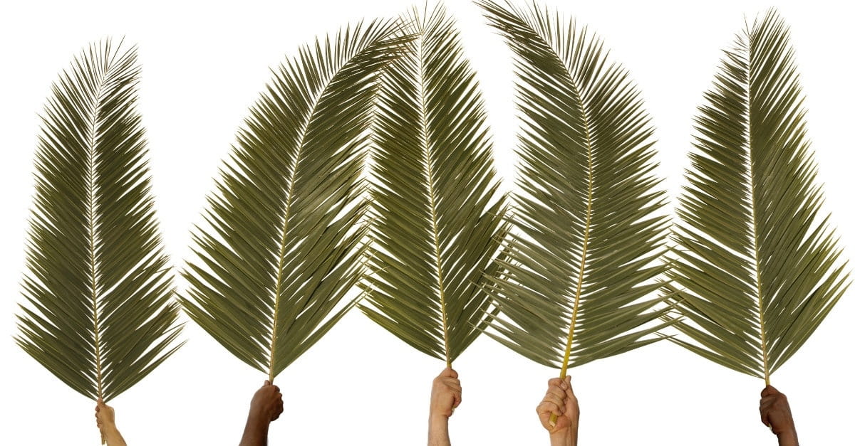 christian palm sunday images