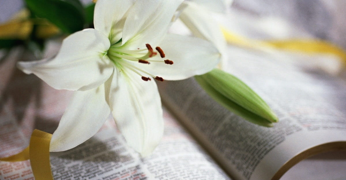 He Has Risen, He IS Risen! 25 Easter Resurrection Bible Verses & Scriptures  to Celebrate