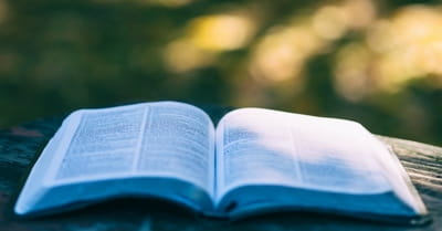 1. In actuality, the Bible doesn’t say a lot about divorce.