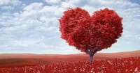 5. They keep the romance alive