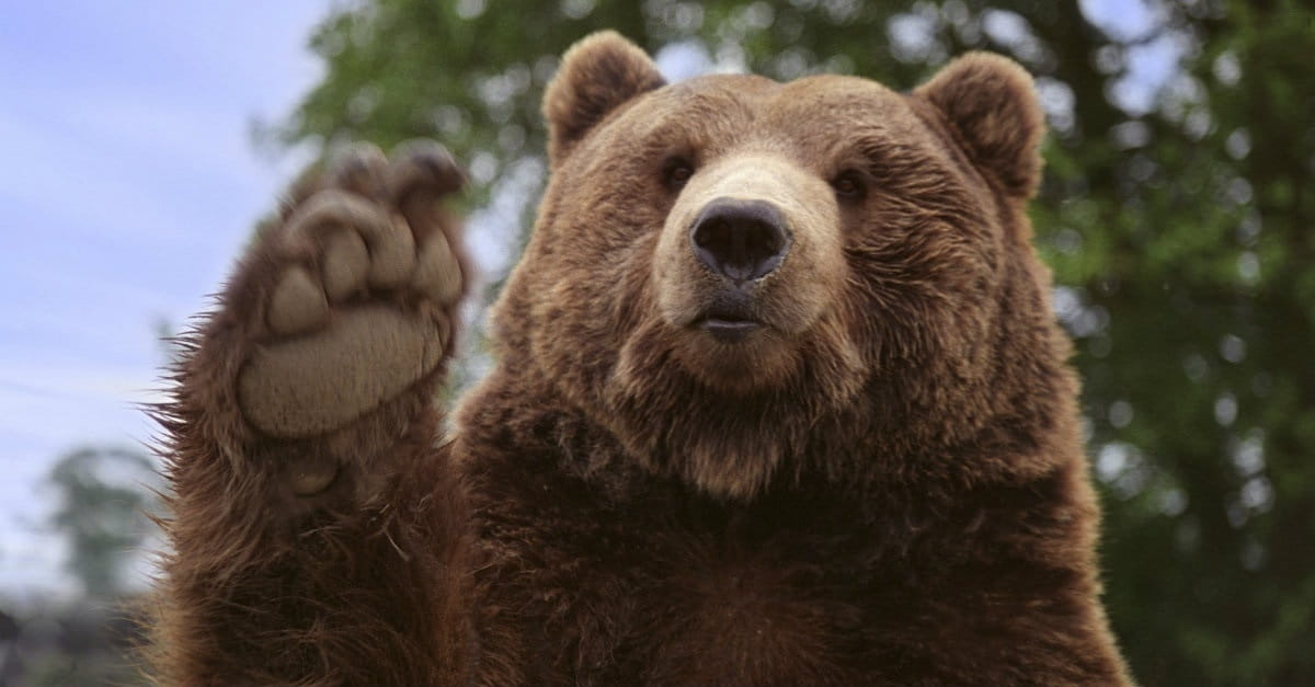 Top 10 Weird Bible Stories Slideshows top-10-weird-bible-stories-slideshows