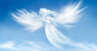 3. They've Earned Their Wings