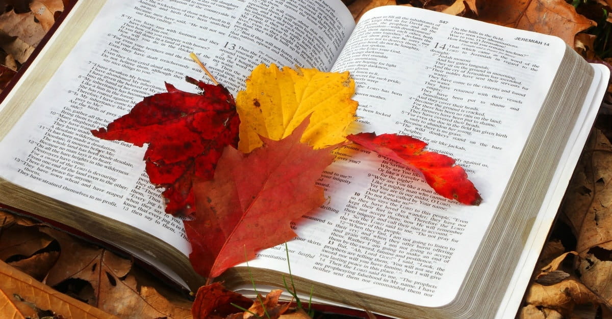10 Psalms For Autumn Reflection
