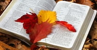 10. Forgetting it is a Vision of Christ, Not a 'Topic of Debate'