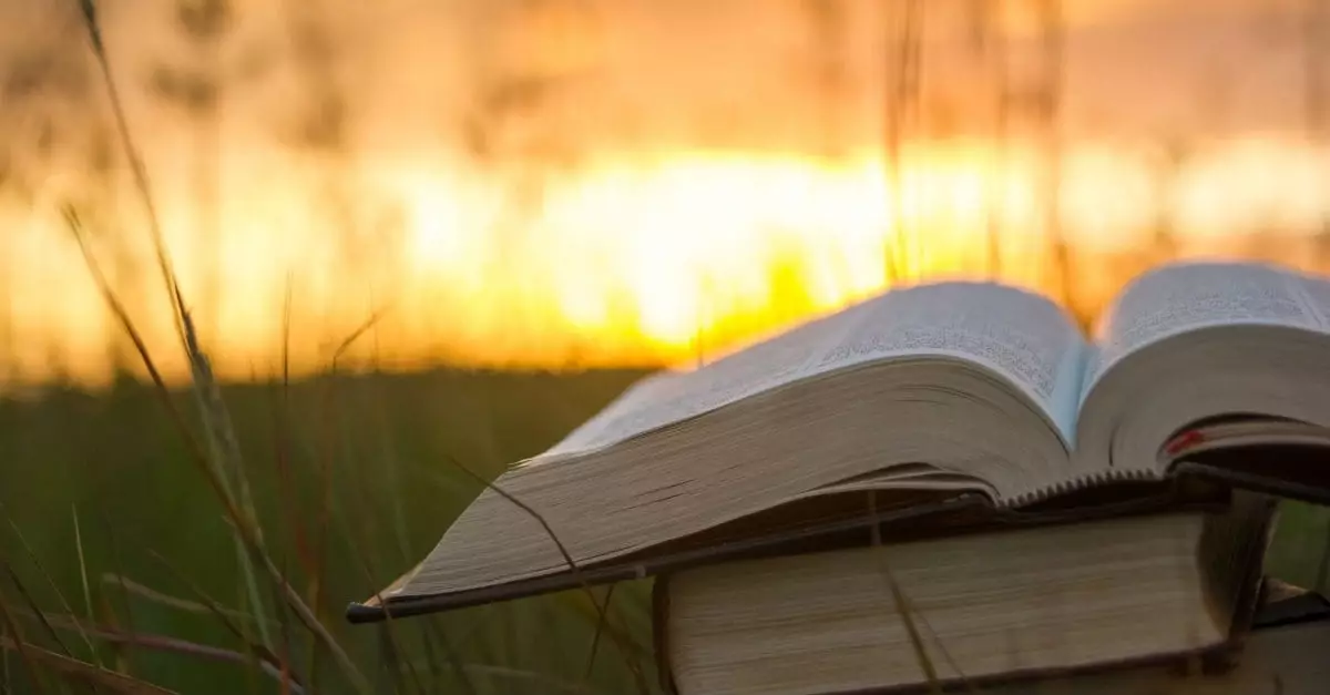 freedom from fear bible