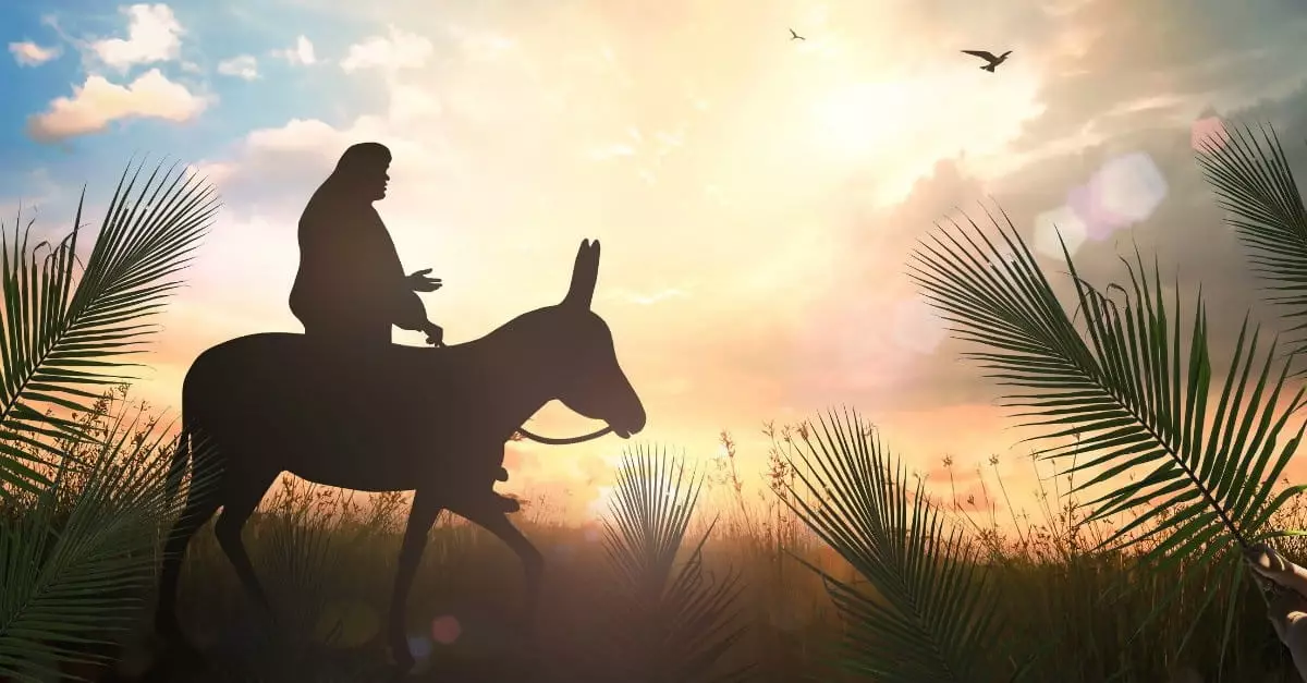 8 Things Most Christians Don't Understand Palm Sunday and Jesus' Triumphal  Entry