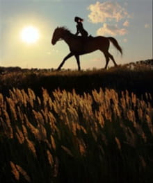 How Can a Horse Bring You Closer to God?