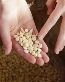 Principle of Sowing and Reaping Can Turn Hurting Marriages Around