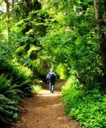 How to Find and Fulfill Your Destiny