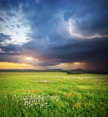 The Sweet Smell of Rain
