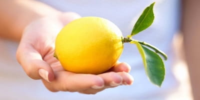 Dating lemon