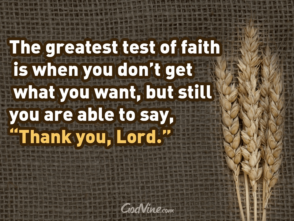Of Faith Test The Ultimate