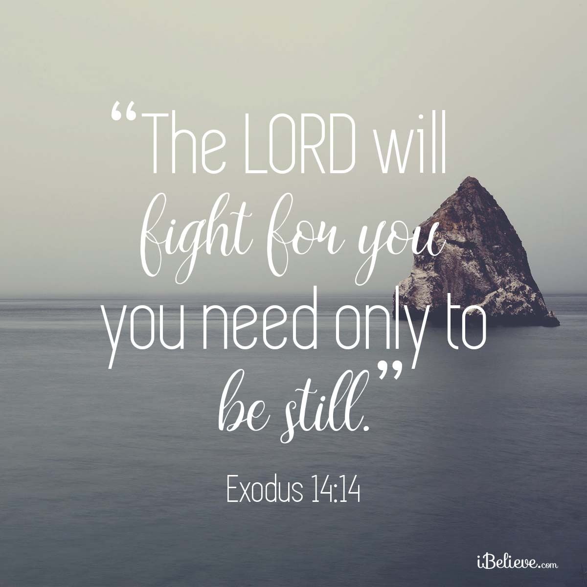 the-lord-will-fight-for-you-your-daily-verse