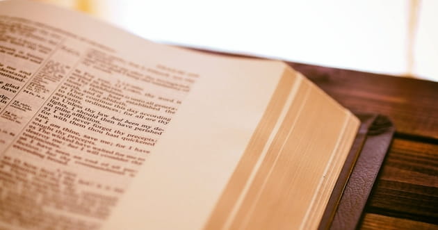 love language essay exam