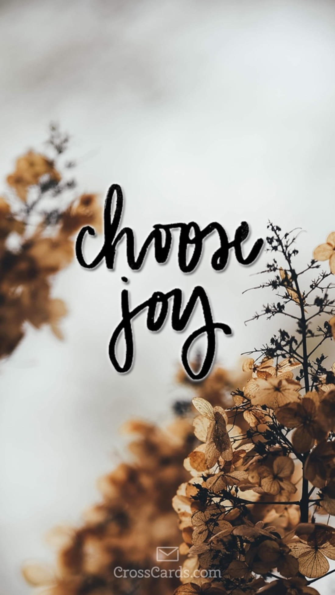 Choose Joy mobile phone wallpaper