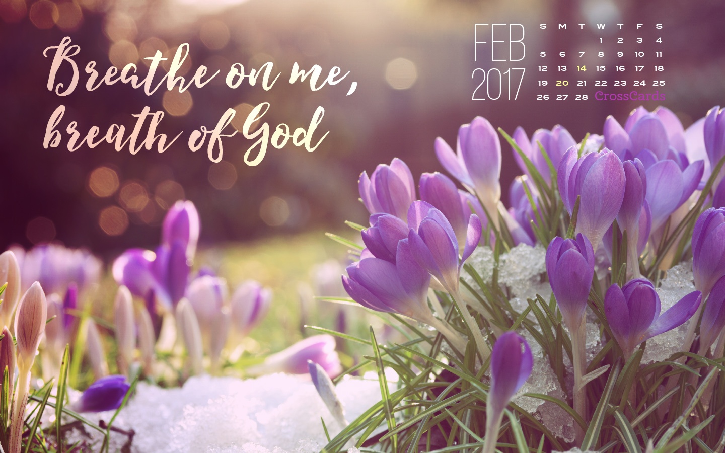 February 2017 Breath Of God Desktop Calendar Free February Wallpaper