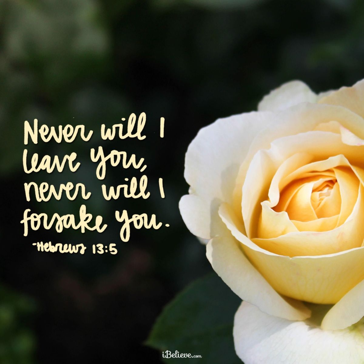 god-will-never-leave-or-forsake-you