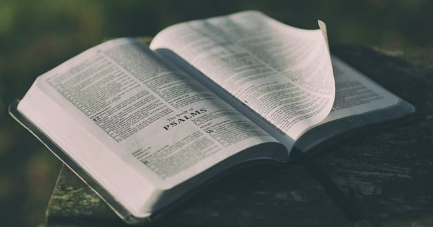 Why Praying the Psalms is So Enriching and One Way to Do It