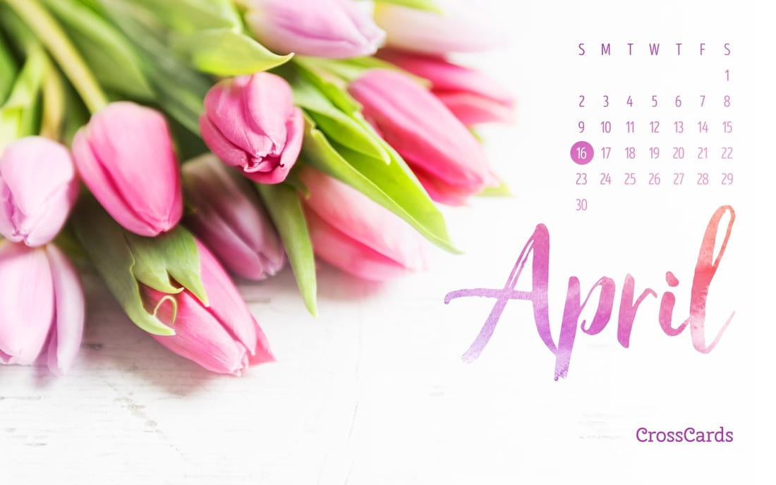 April 2017 - Tulips	 mobile phone wallpaper