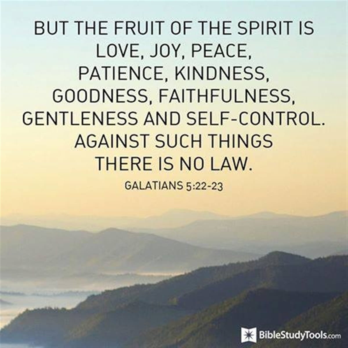 Image result for fruit of the Spirit