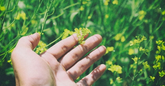 7 Ways to Make Your Life More Meaningful Than It Is