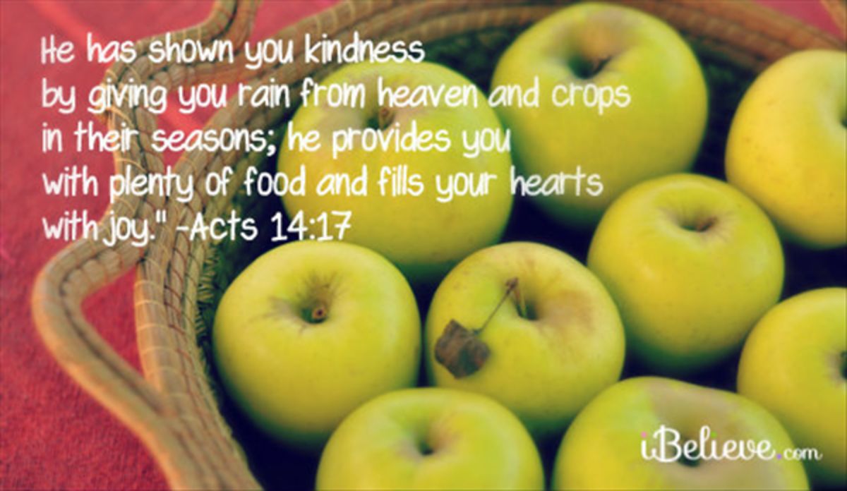 He Provides You With Plenty - Your Daily Verse