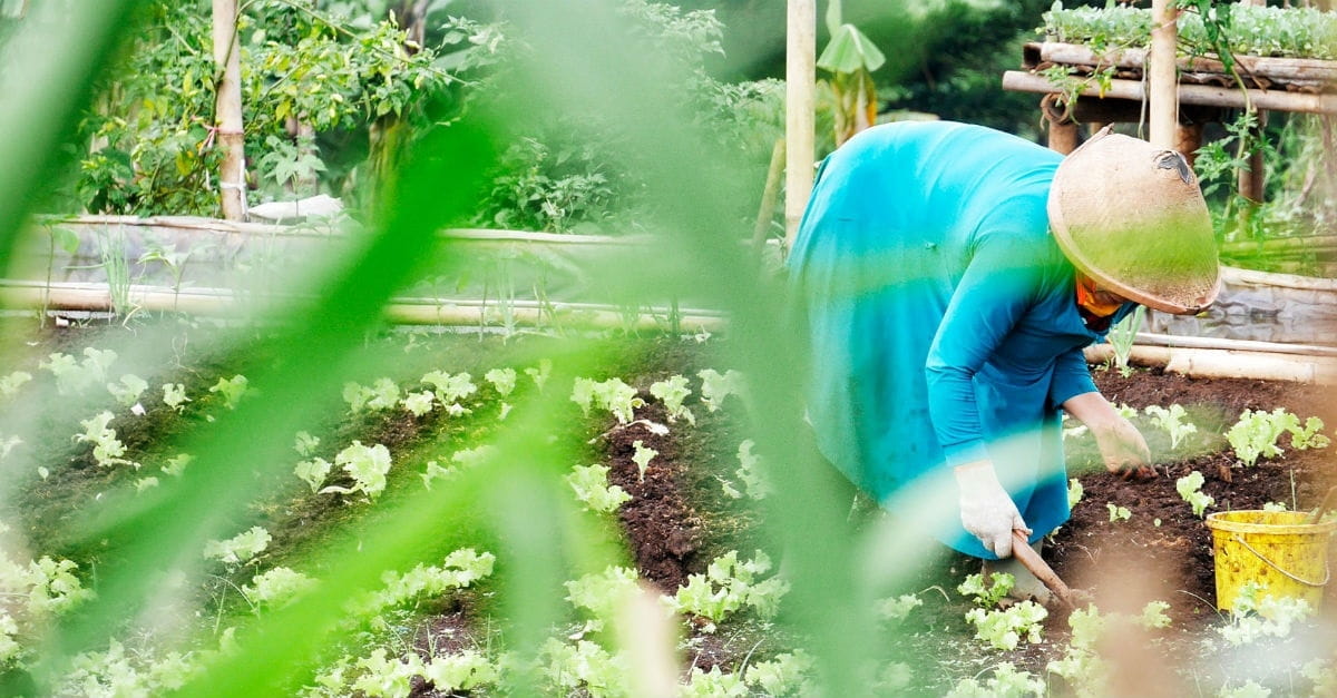 2. Gardening people (eventually) become patient people.