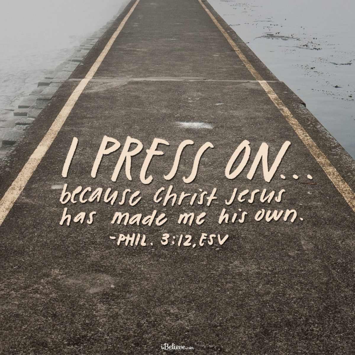 Your Daily Verse Philippians 3 12 Inspirations