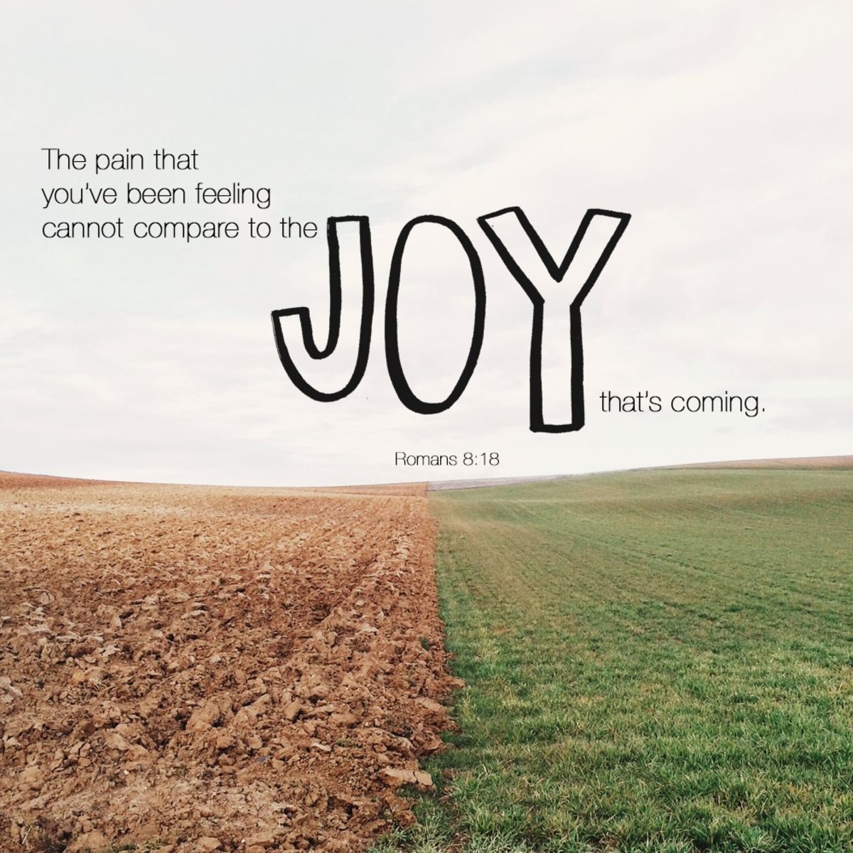Your Daily Verse Romans 8 18 Your Daily Verse