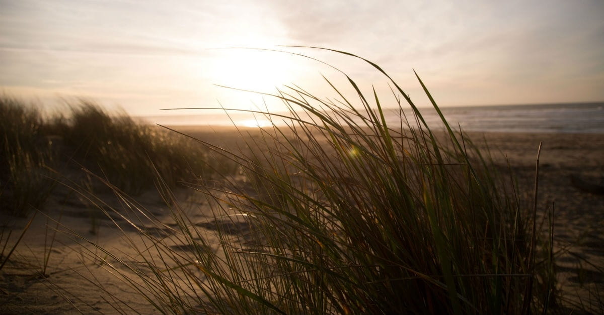Max Lucado talks about how he learned to pray: