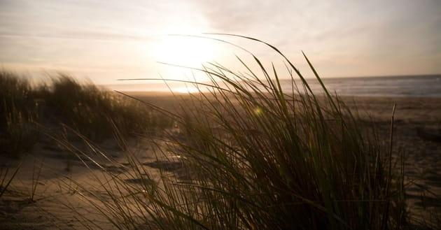 Max Lucado talks about how he learned to pray: