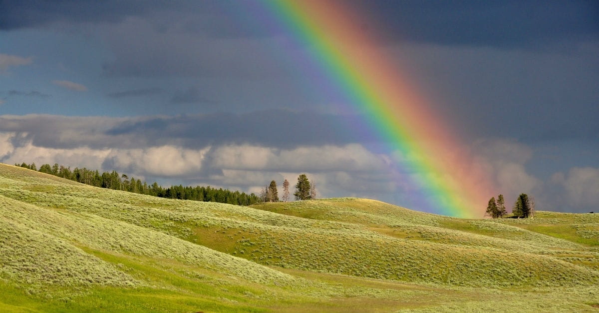 2. God always provides a way for us to begin again with Him.