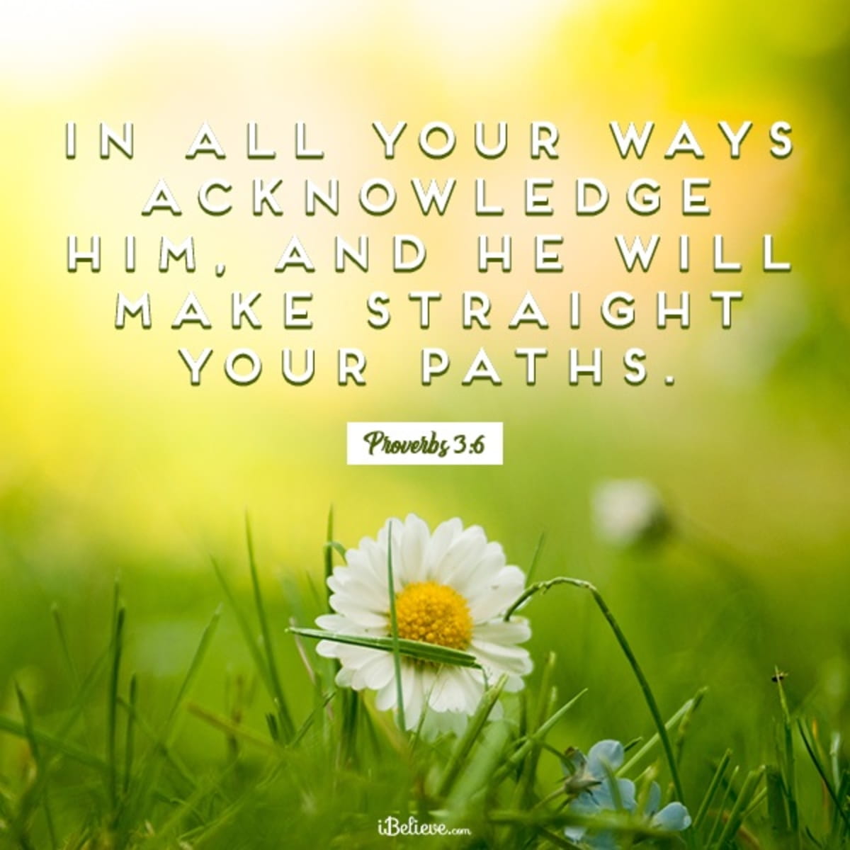 27 Bible Verses About Trusting God Scripture To Inspire Trust Belief