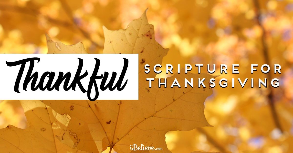 25 Heart-Warming Thanksgiving Bible Verses & Scriptures