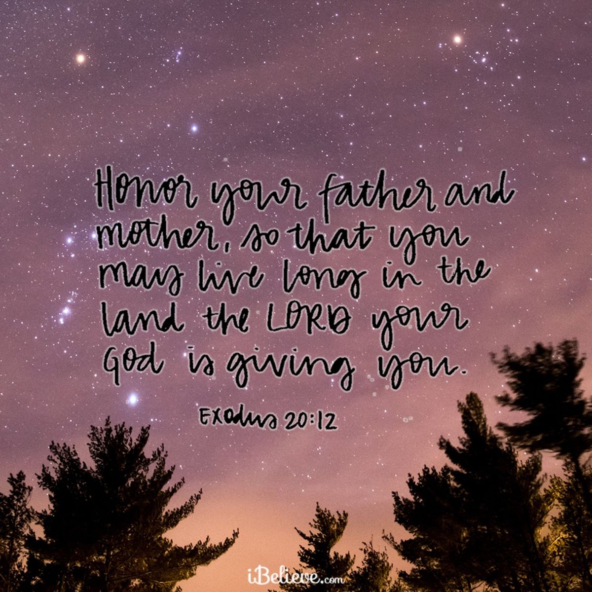 your-daily-verse-exodus-20-12-your-daily-verse