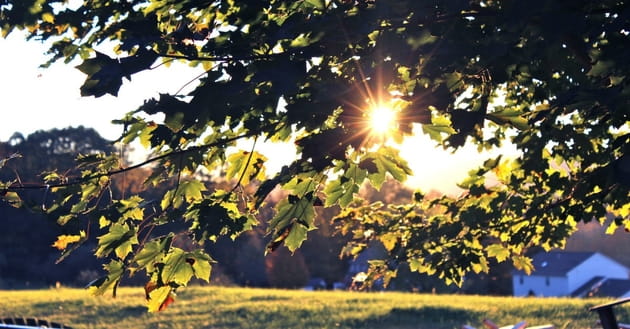 2. The theme of the parable is grace.