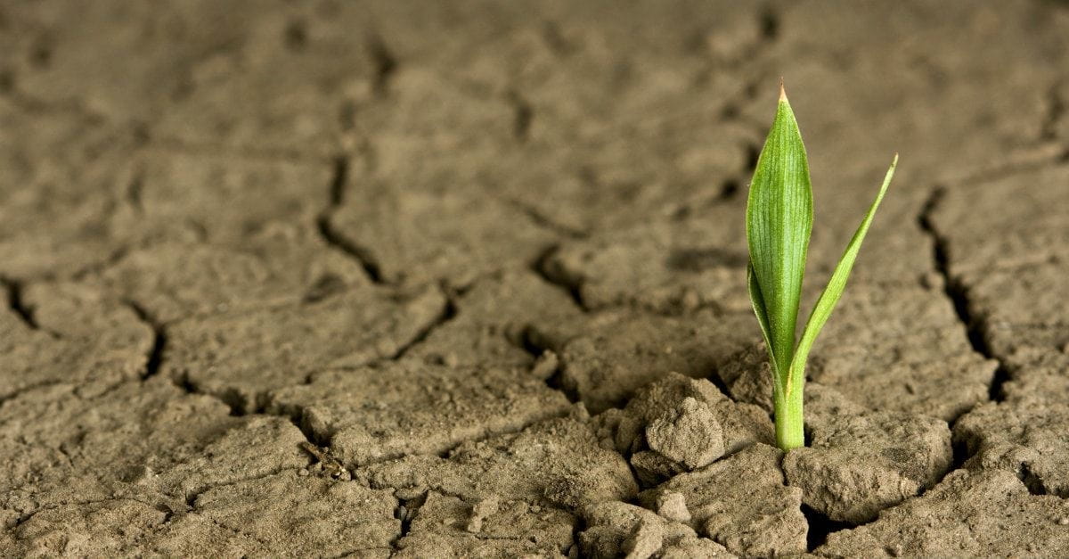How to Grow Your Faith When It's Been Stagnant