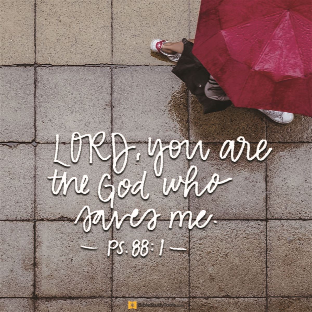 Psalms 88 NIV LORD You Are The God Who Saves Me Day And Night 