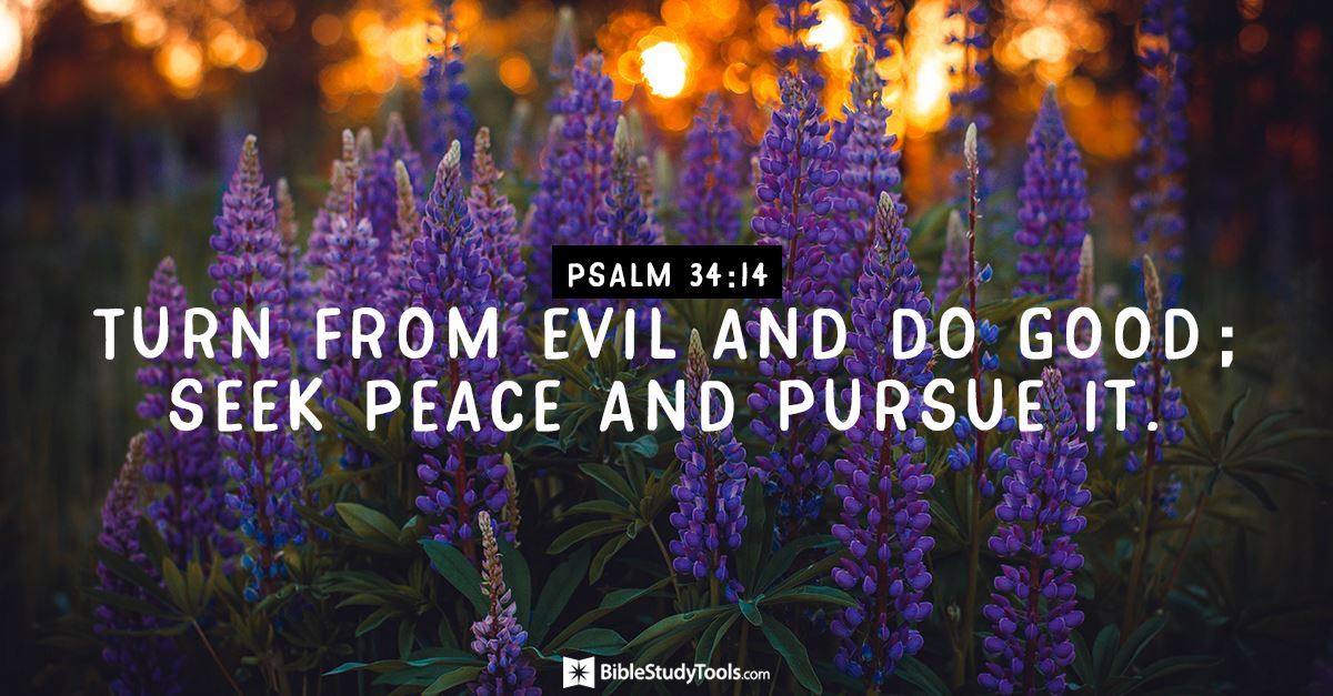 Psalms 34 14 KJV Depart From Evil And Do Good Seek Peace And Pur 