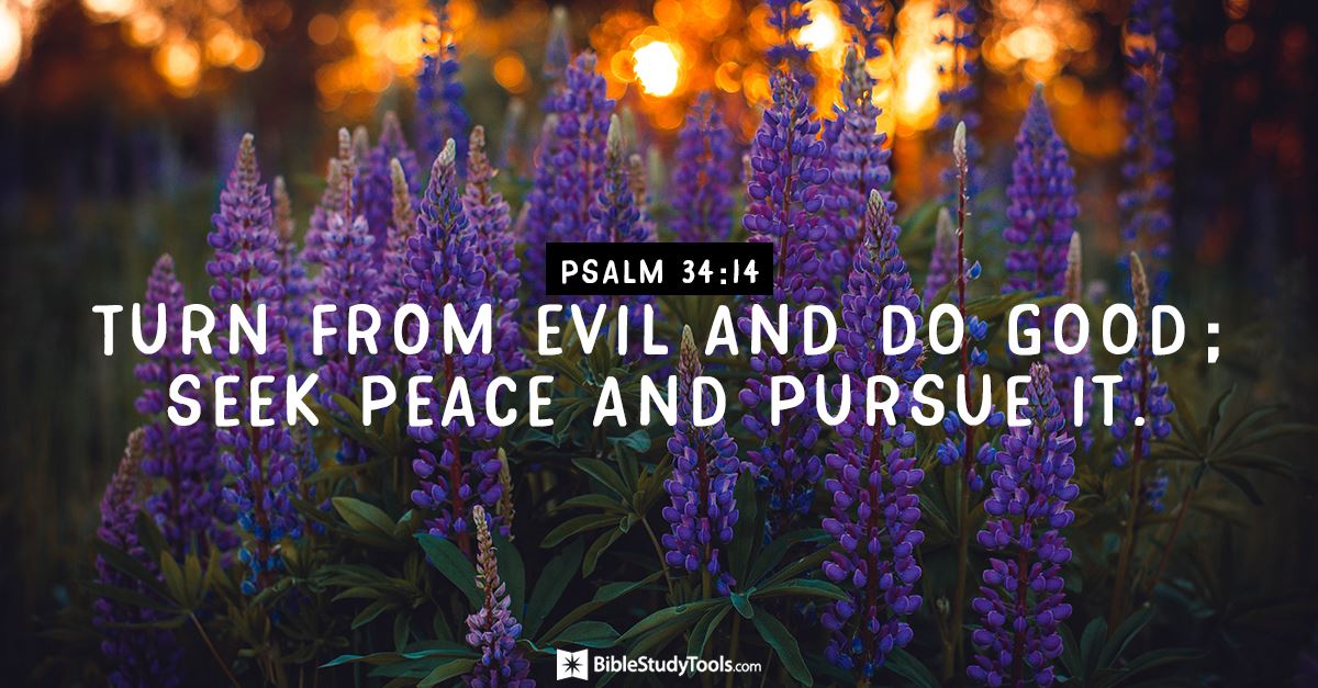 YOUR DAILY VERSE - PSALM 34:14YOUR DAILY VERSEYour Daily Verse - Psalm 34:14Recently Featured Inspirations