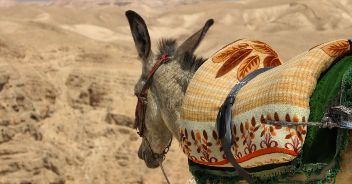 5 Of The Hardest Bible Stories To Teach