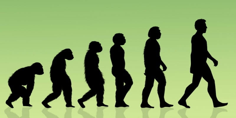 Evolutionists Kill Academic Freedom Bills in Four State Legislatures