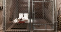 U.S. Government Admits Released Guantanamo Bay Prisoners Have Killed Americans