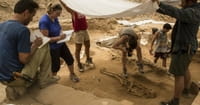 Archaeologists Dig Up Philistine Artifacts Where Goliath May Have Walked
