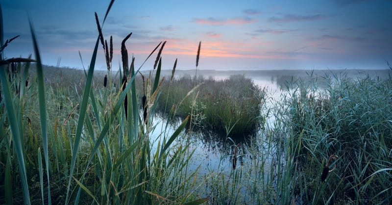 Possible Location Of Garden Of Eden Named World Heritage Site